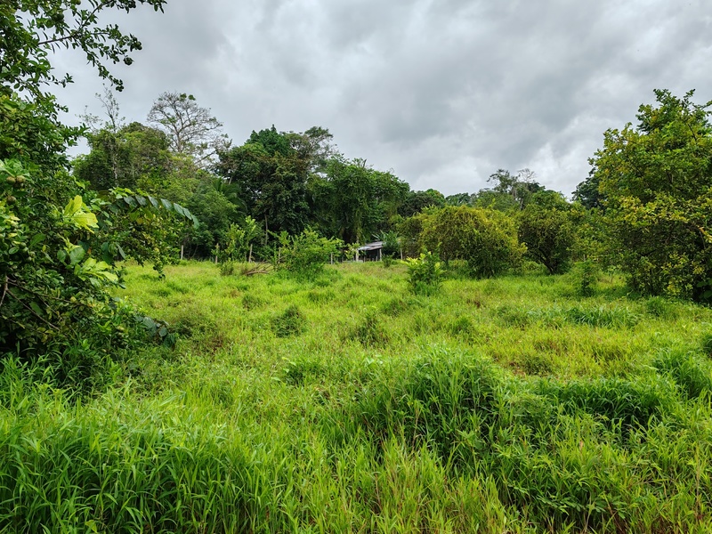0 bed Land For Sale in Puerto Viejo, Limón - 1