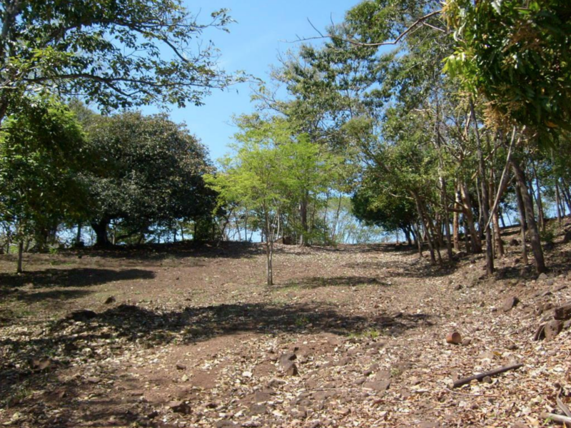 0 bed Land For Sale in Esparza, Puntarenas - 1