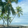  - SURFERS DREAM - WALK TO PLAYA HERMOSA BEACH - SHORT DRIVE TO JACO