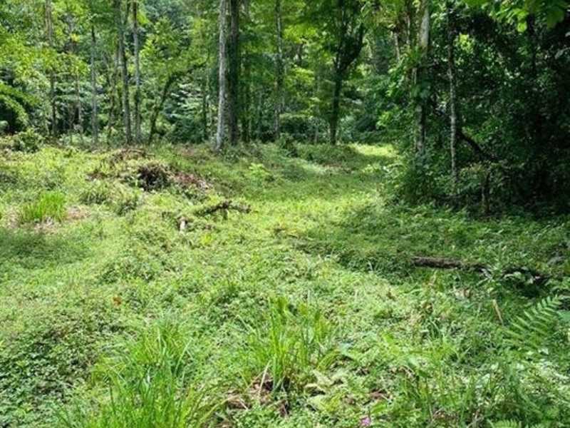 0 bed Land For Sale in Ojochal, Puntarenas - 1