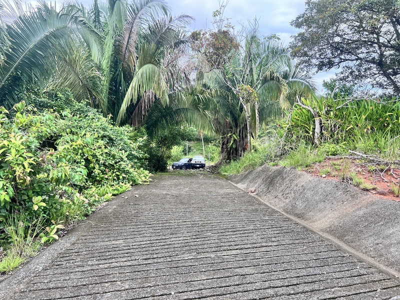 0 bed Land For Sale in Quepos, Puntarenas - 1