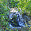  - Serene Costa Rican Jungle Retreat with Waterfalls & Wildlife