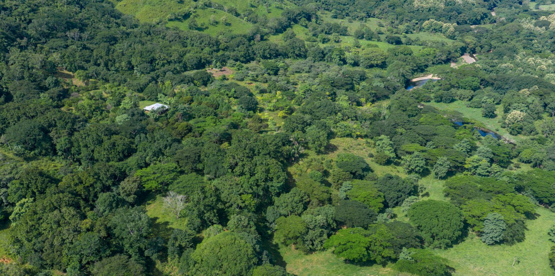 0 bed Land For Sale in Playa Coyote, Guanacaste - thumb 3