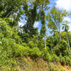  - MNT & Valley Views, 1.5 ACRES Tierra del Ceibo lot #4