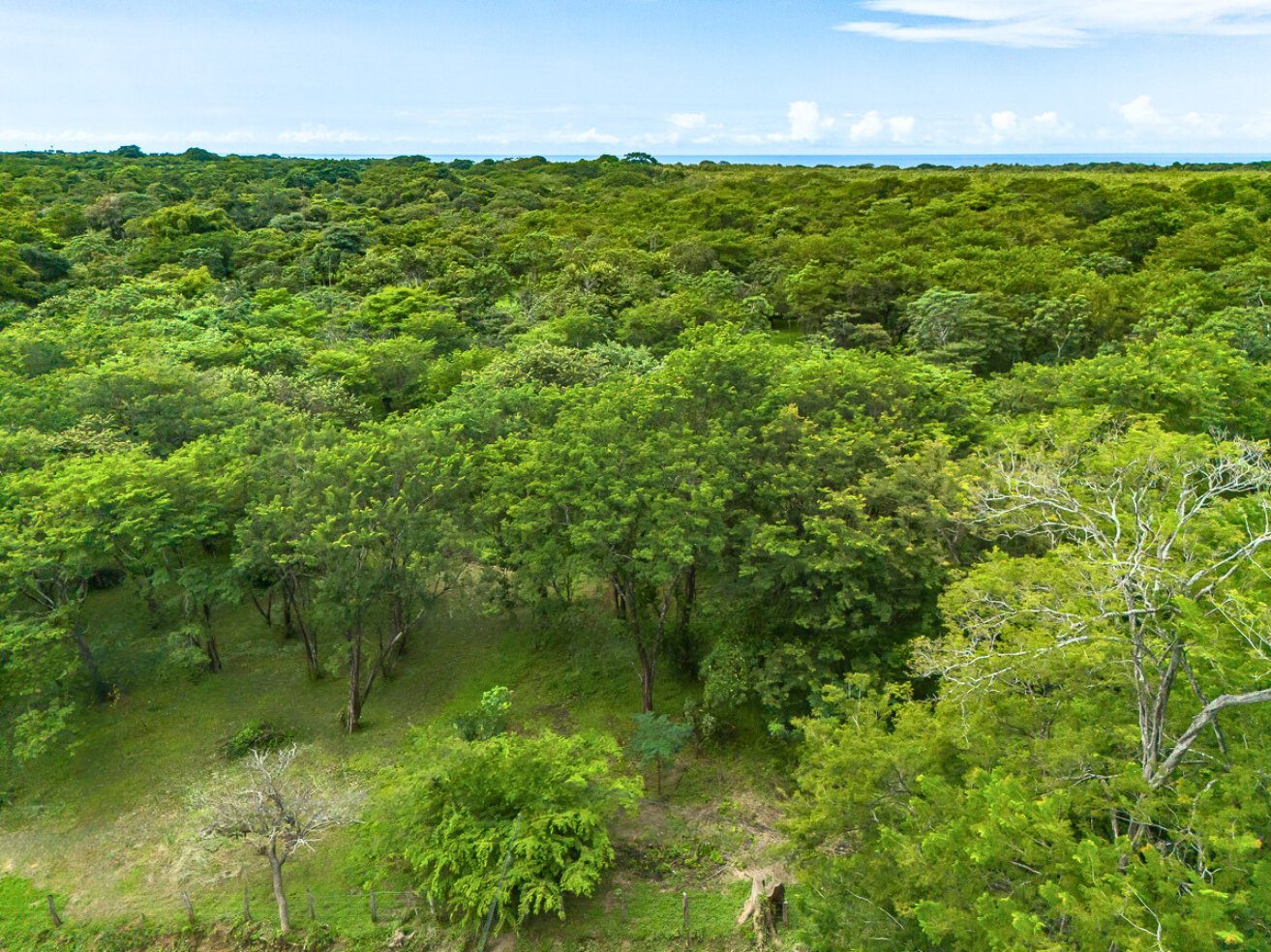Featured property image
