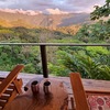  - Breathtaking Family Compound in the Heart of the Jungle