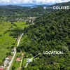  - ECO THERMAL DESIGNED Home near Golfito Bay backed by Rainforest