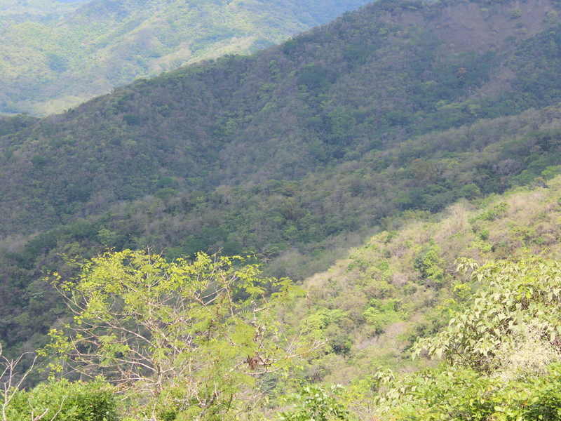 0 bed Land For Sale in Playa Coyote, Guanacaste - 1