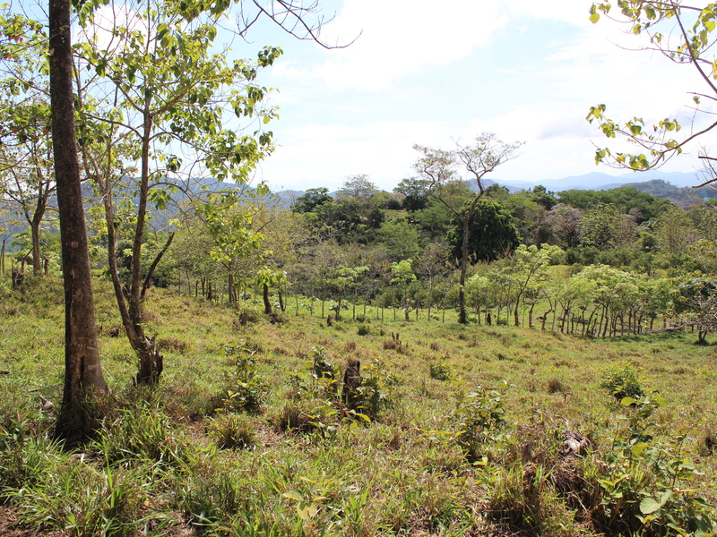 0 bed Land For Sale in Playa Coyote, Guanacaste - 1