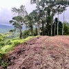  - 1.8-Acre Ocean View Lot in Portalon - Privacy, Views & Ready to Build