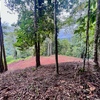  - 1.8-Acre Ocean View Lot in Portalon - Privacy, Views & Ready to Build