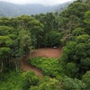  - 1.8-Acre Ocean View Lot in Portalon - Privacy, Views & Ready to Build