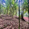  - 1.8-Acre Ocean View Lot in Portalon - Privacy, Views & Ready to Build