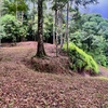  - 1.8-Acre Ocean View Lot in Portalon - Privacy, Views & Ready to Build