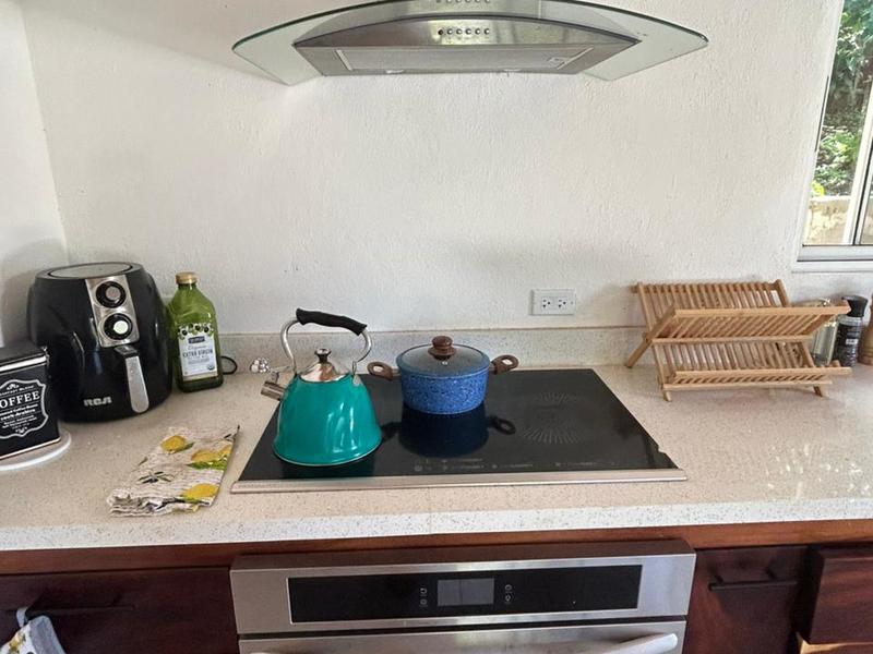 4 bed Single Family Homes For Rent in Atenas, Alajuela - hero 7