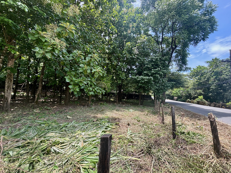 0 bed Land For Sale in Nosara, Guanacaste - 1