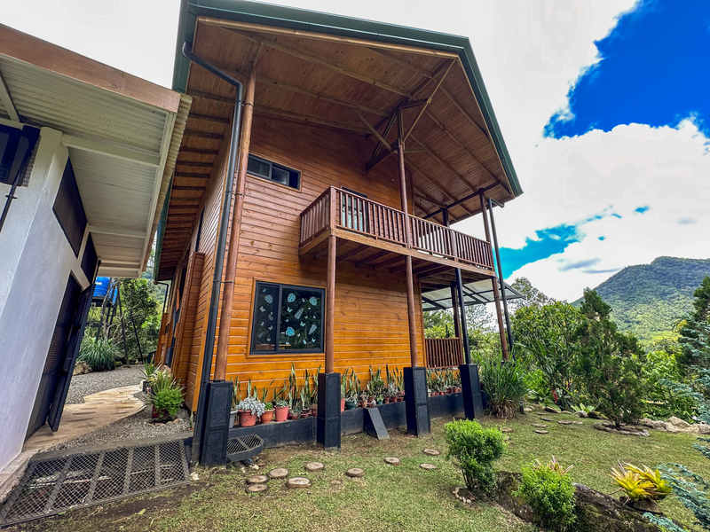 5 bed Single Family Homes For Sale in Perez Zeledon, San Jose - photo 9