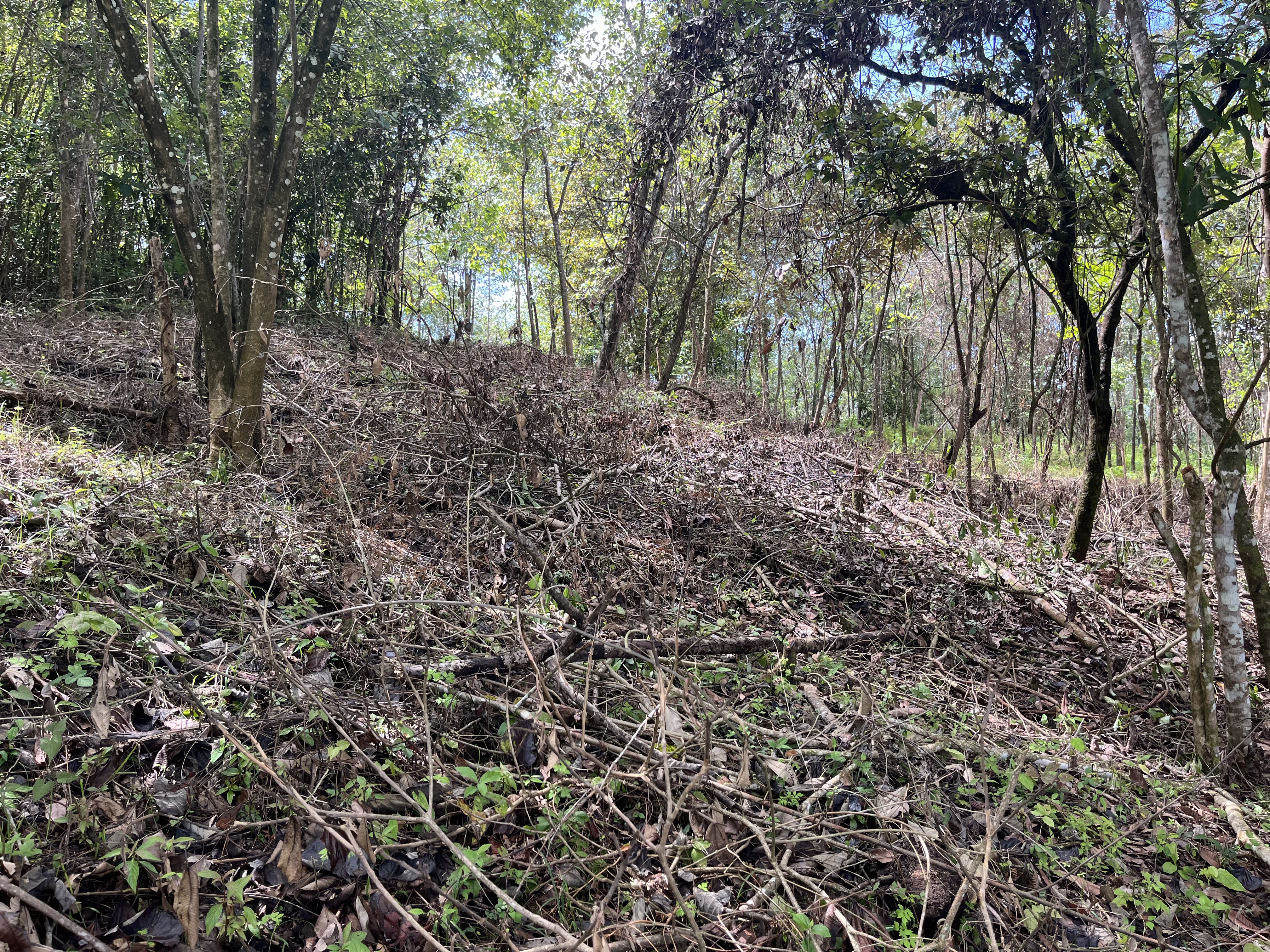 0 bed Land For Sale in Playa Coyote, Guanacaste - thumb 14