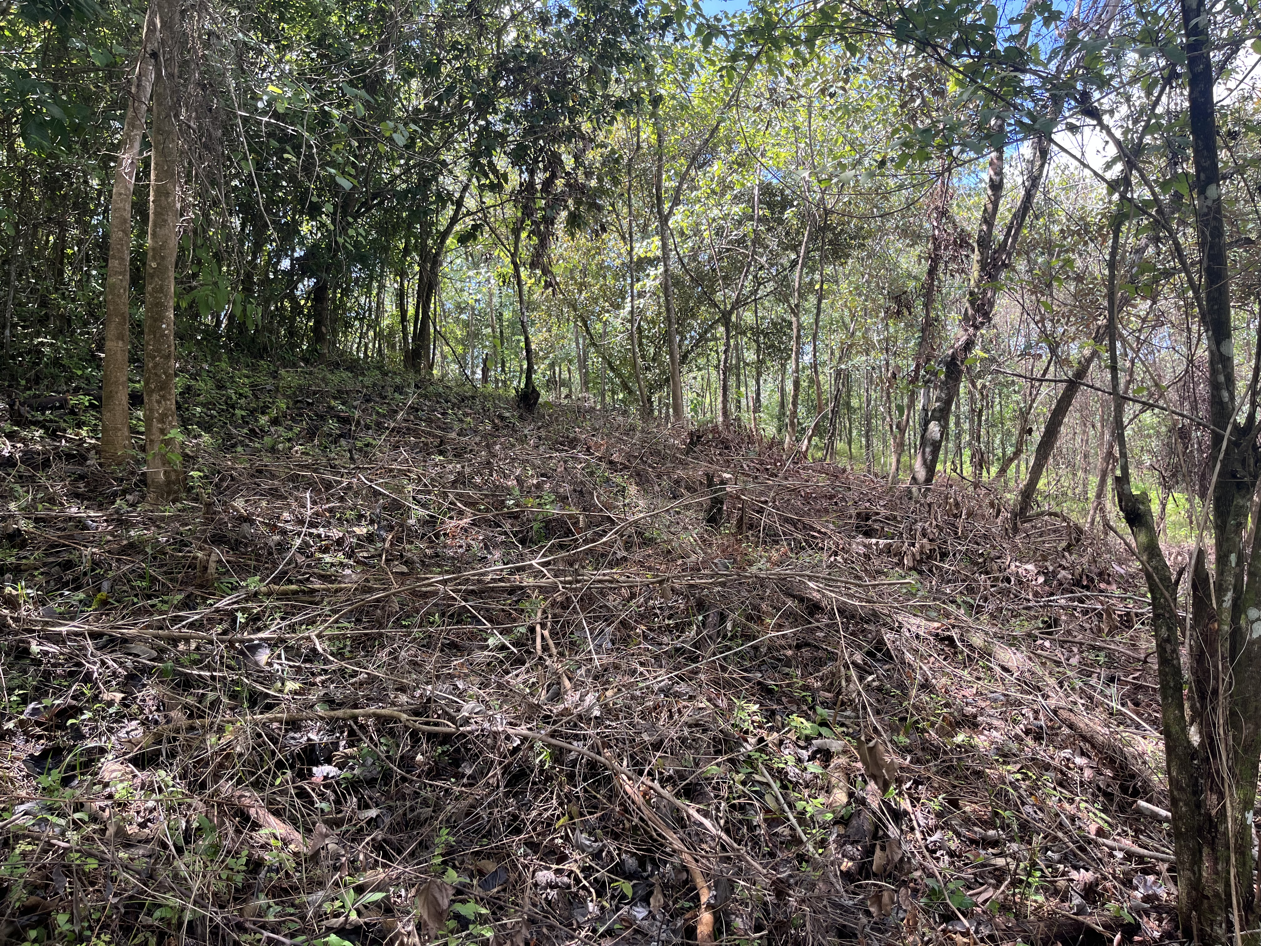 0 bed Land For Sale in Playa Coyote, Guanacaste - thumb 7