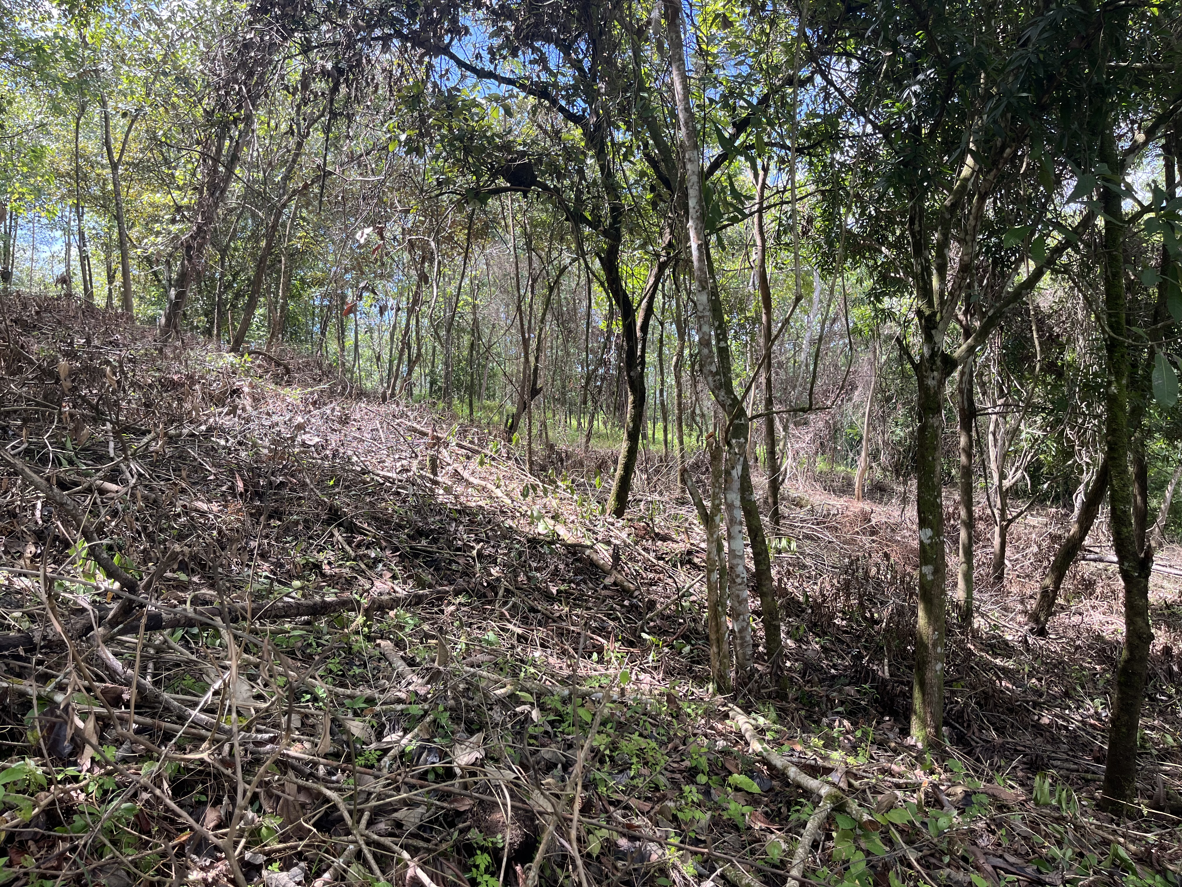 0 bed Land For Sale in Playa Coyote, Guanacaste - thumb 11