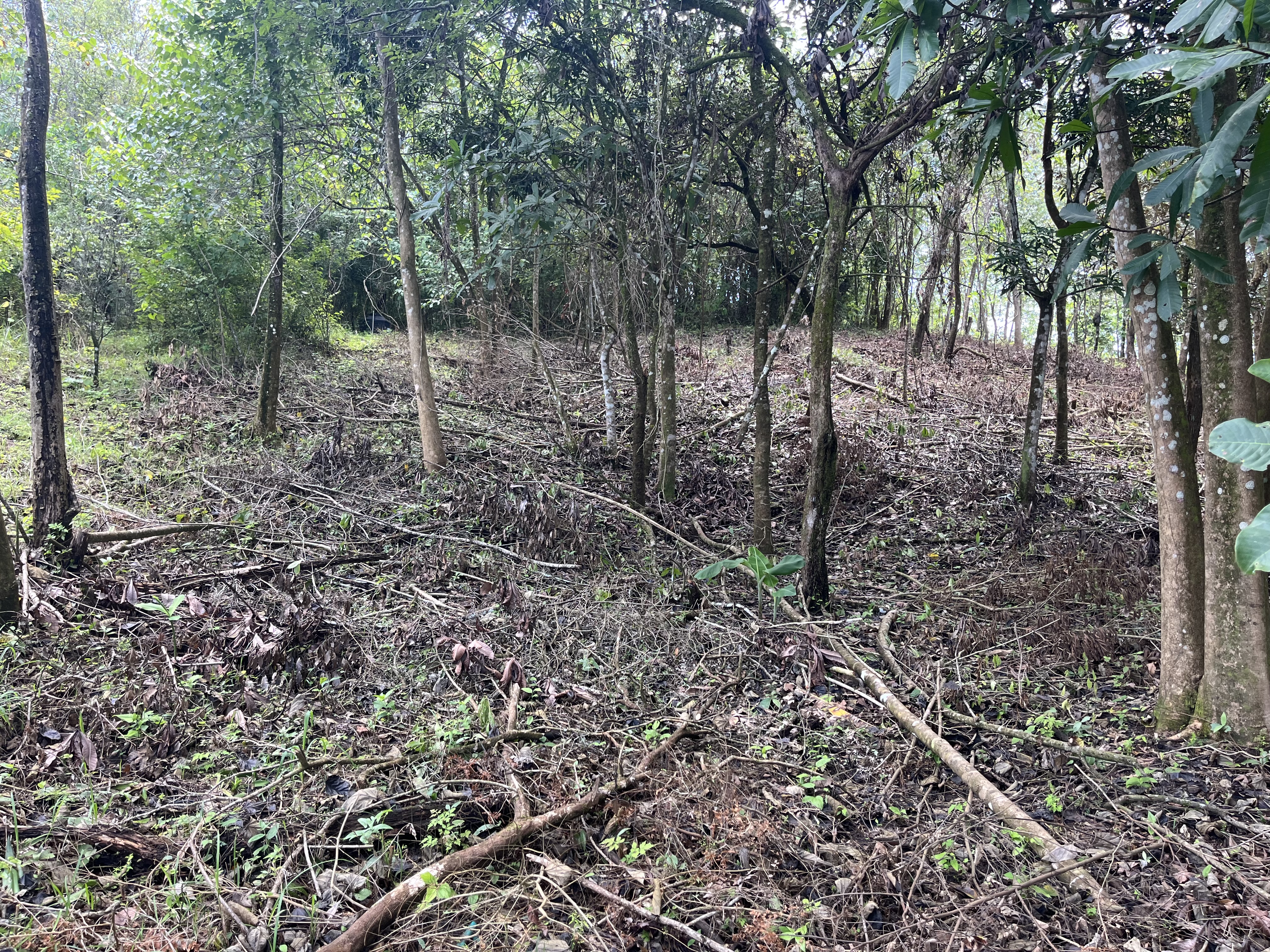 0 bed Land For Sale in Playa Coyote, Guanacaste - thumb 19