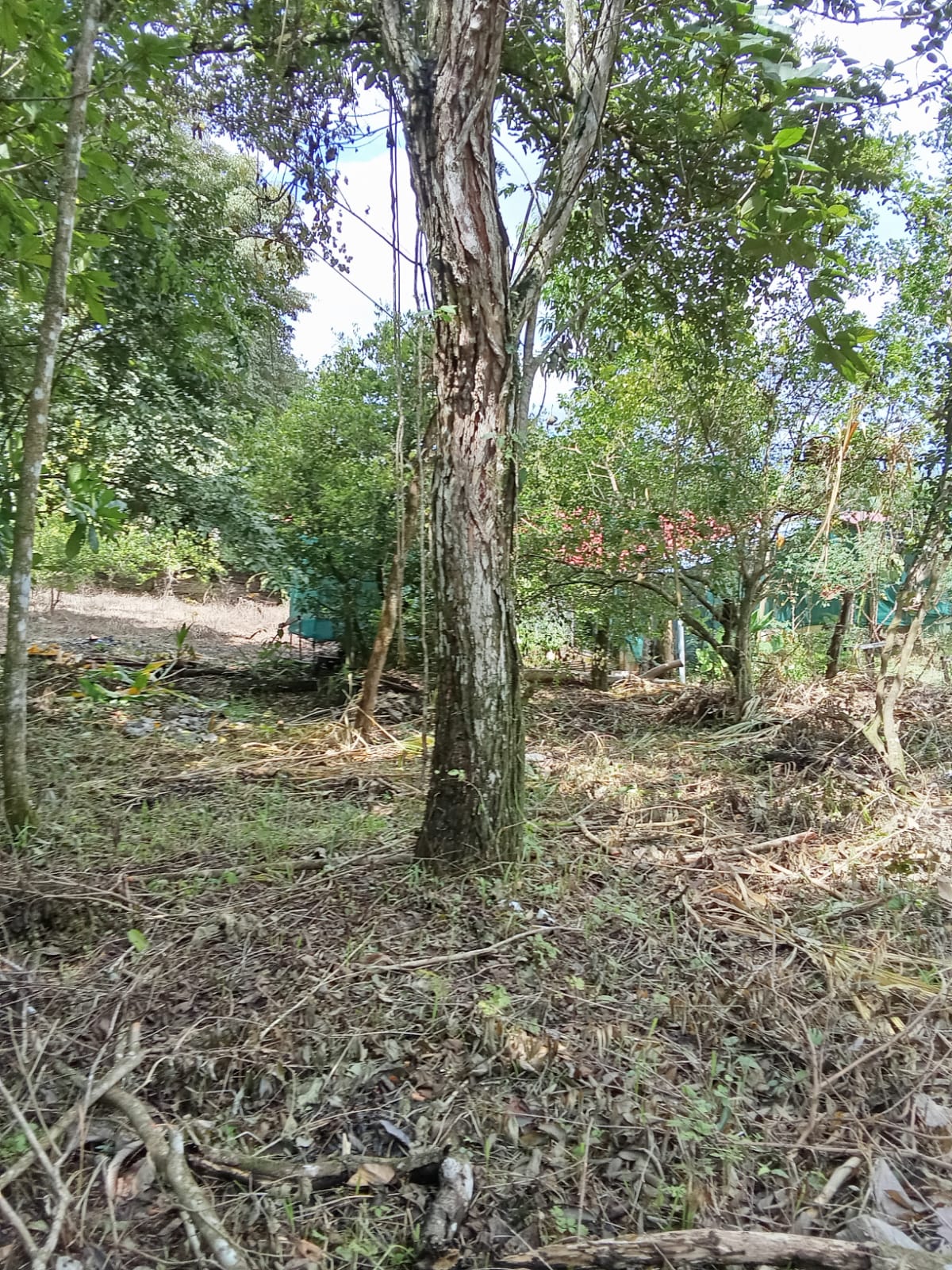 0 bed Land For Sale in Playa Coyote, Guanacaste - thumb 5