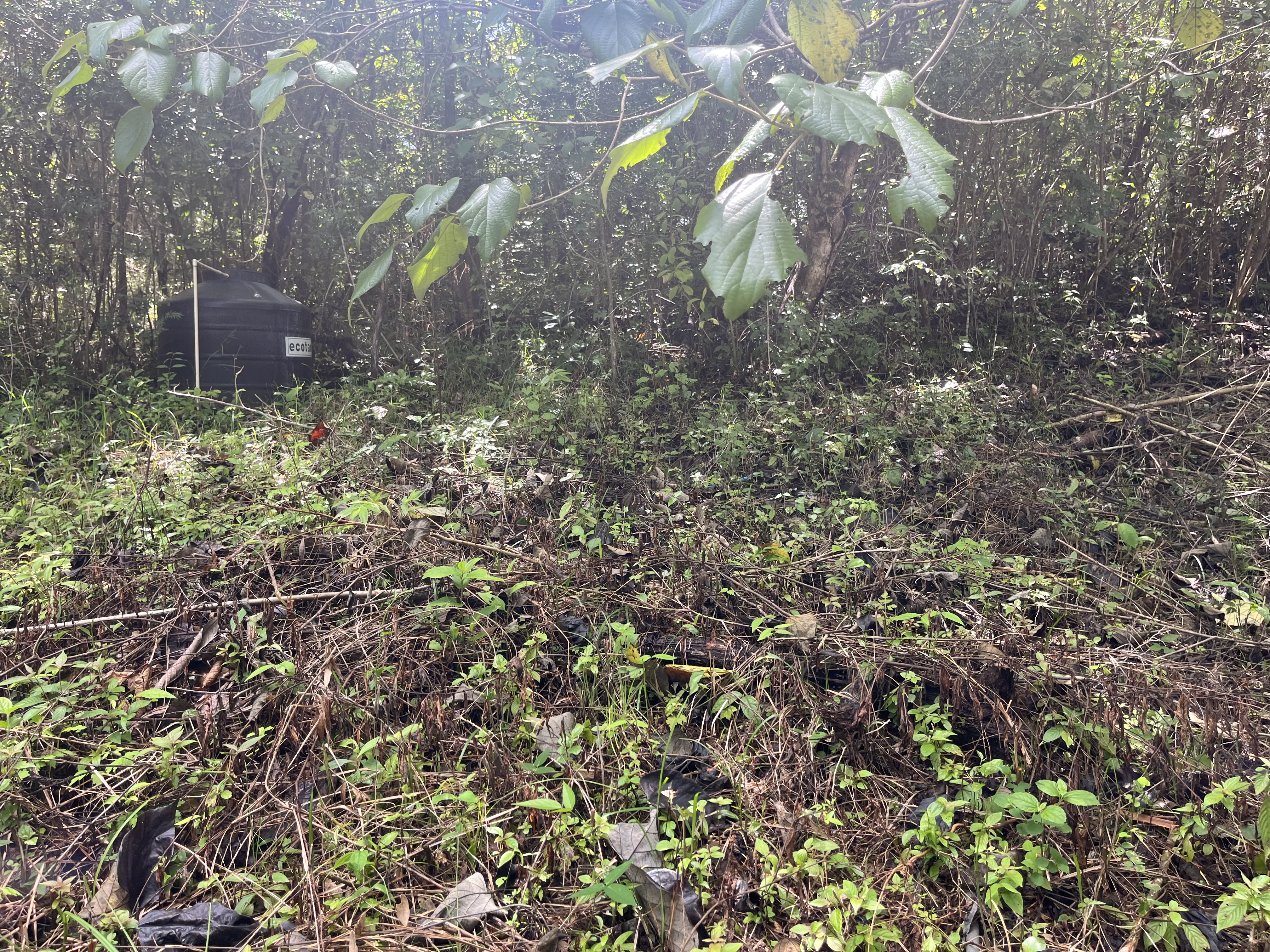 0 bed Land For Sale in Playa Coyote, Guanacaste - thumb 10