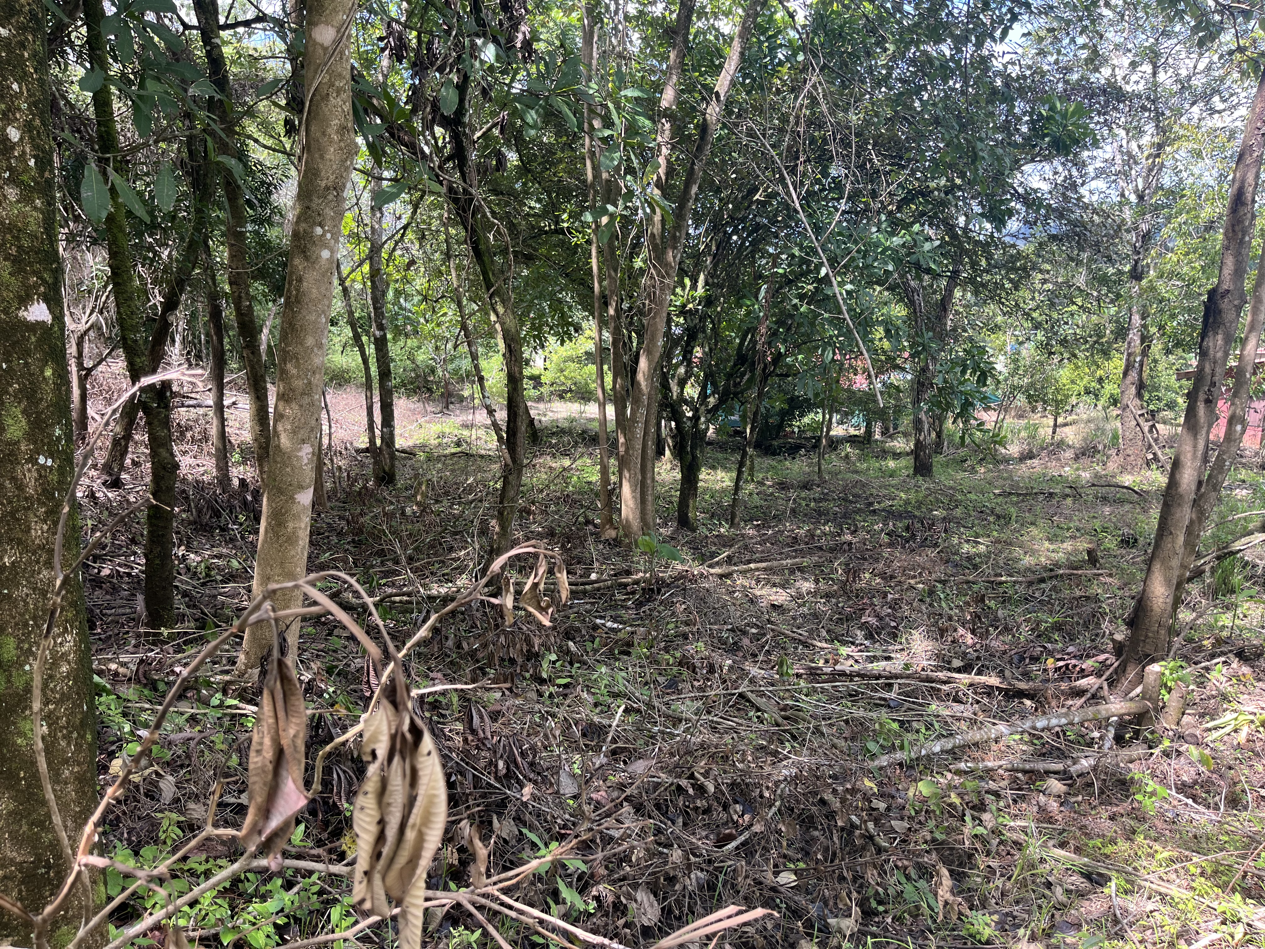 0 bed Land For Sale in Playa Coyote, Guanacaste - thumb 13