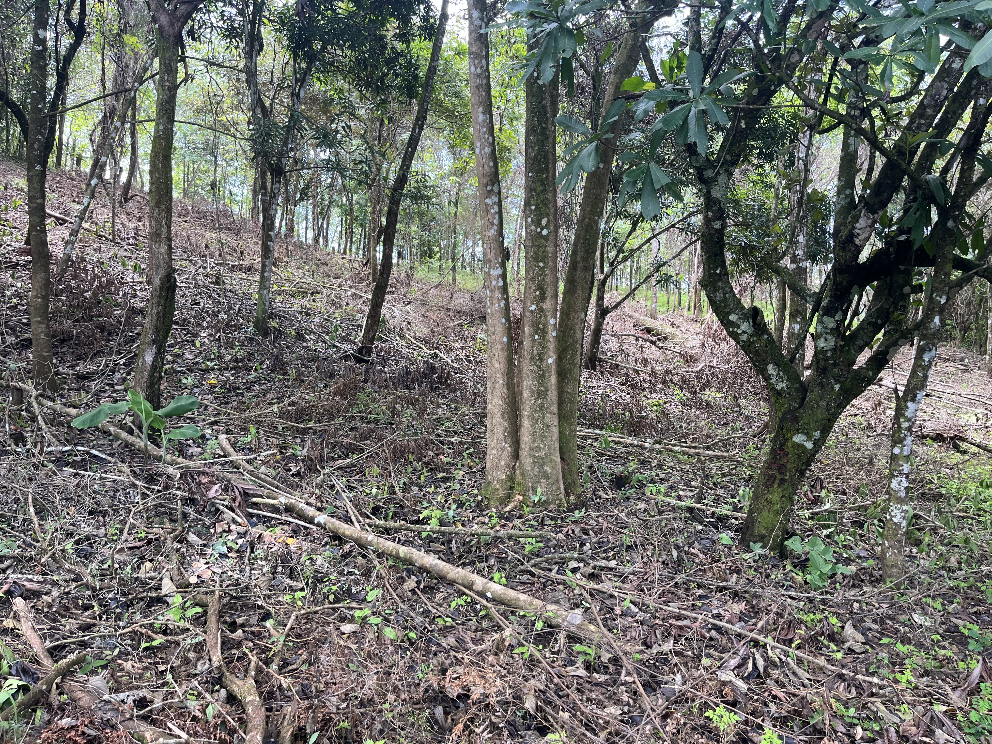 0 bed Land For Sale in Playa Coyote, Guanacaste - thumb 21