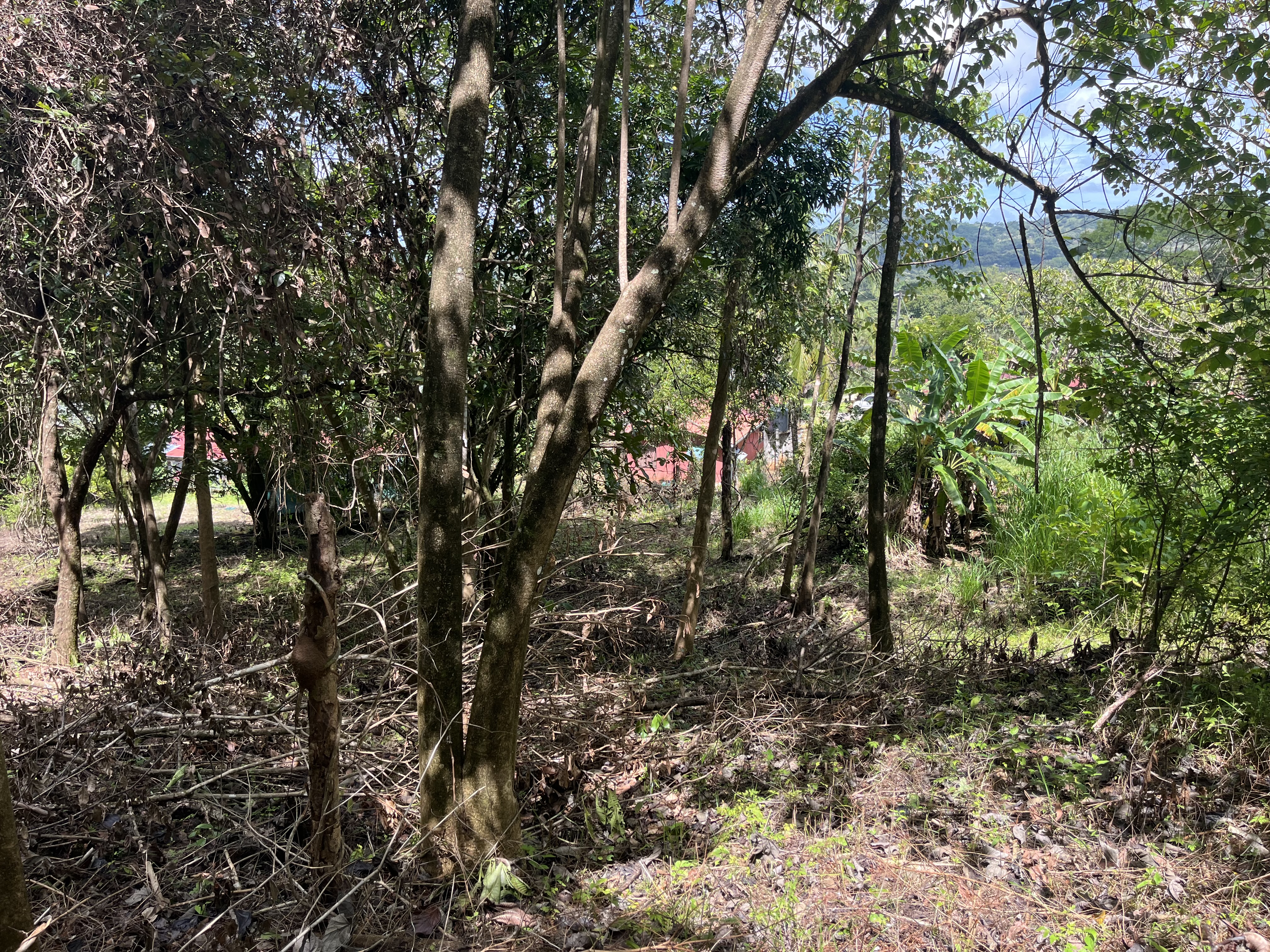 0 bed Land For Sale in Playa Coyote, Guanacaste - thumb 6