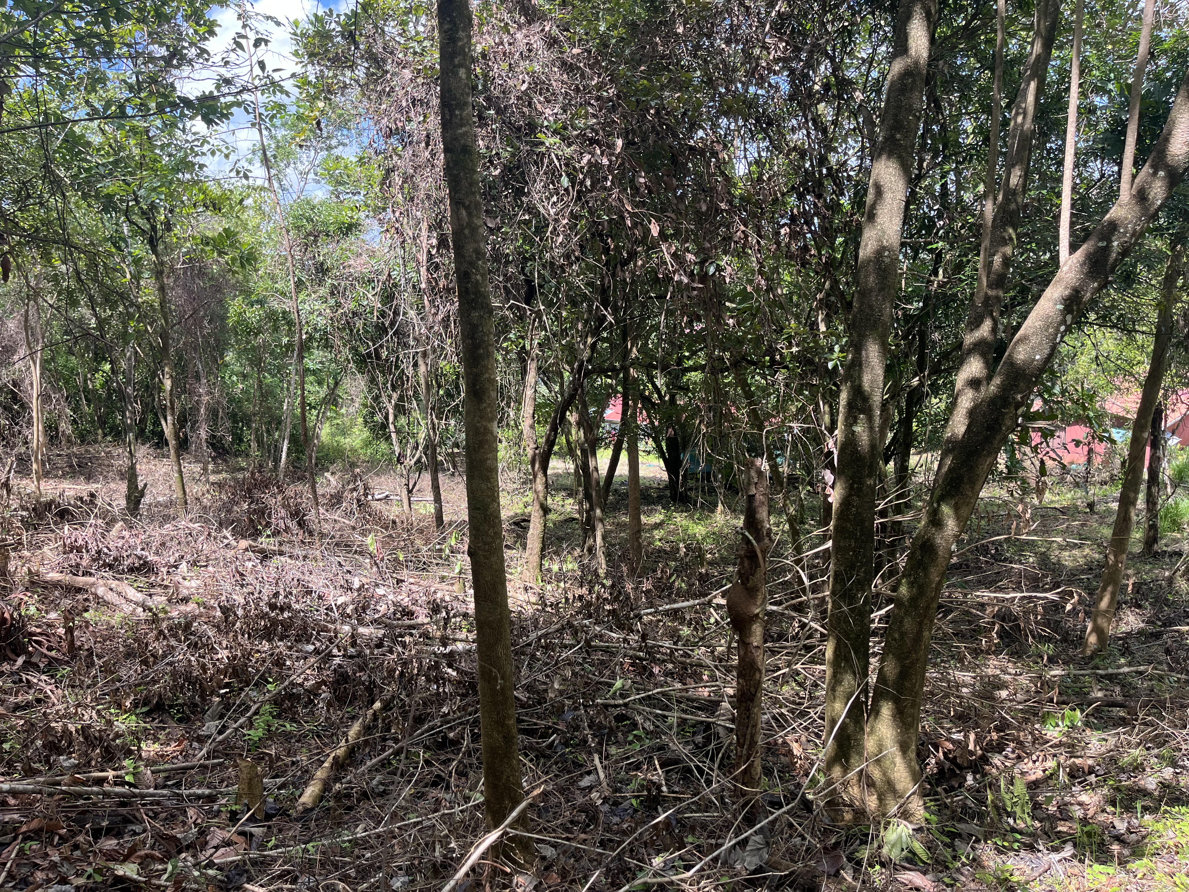 0 bed Land For Sale in Playa Coyote, Guanacaste - thumb 9