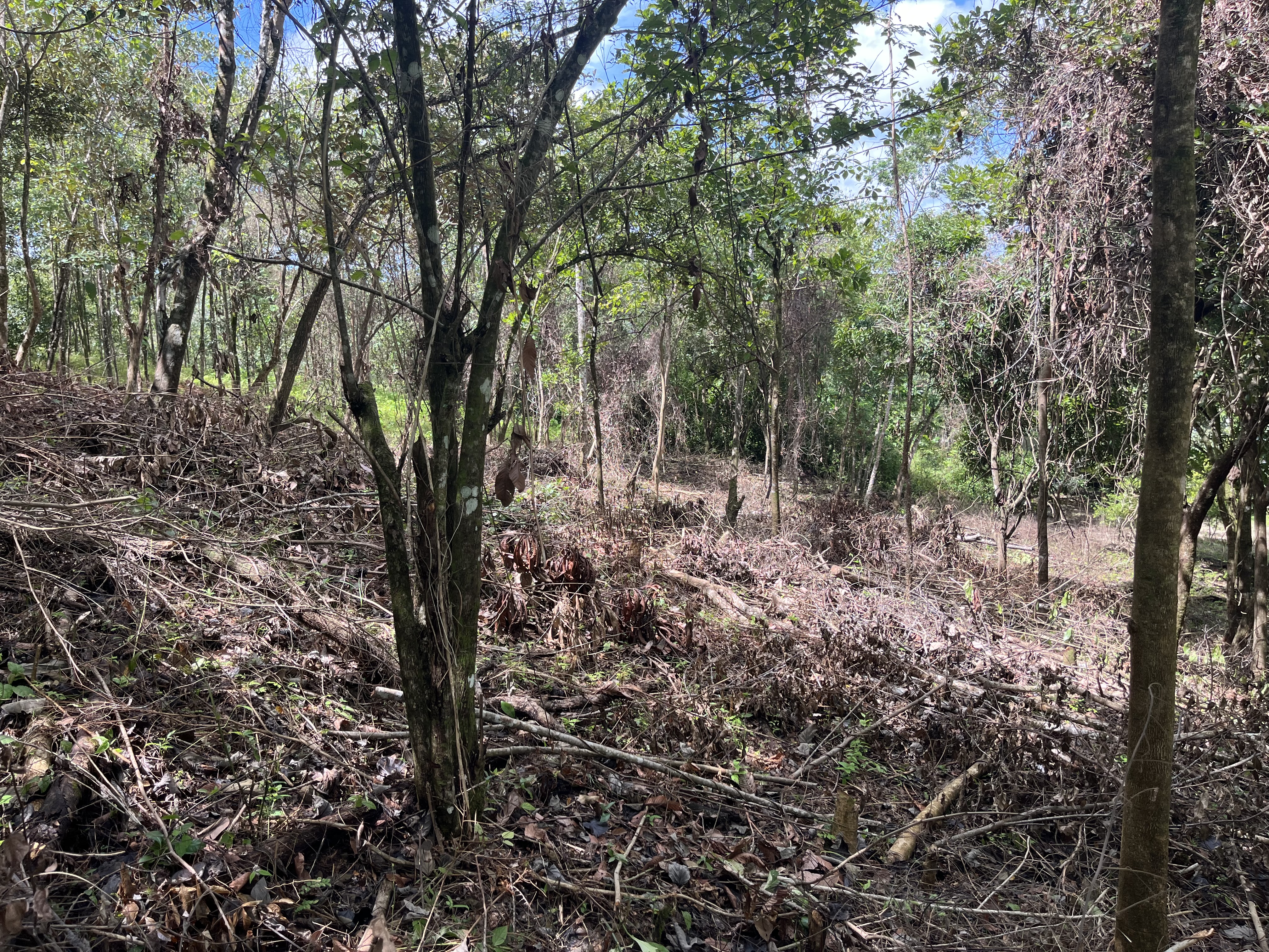 0 bed Land For Sale in Playa Coyote, Guanacaste - thumb 8