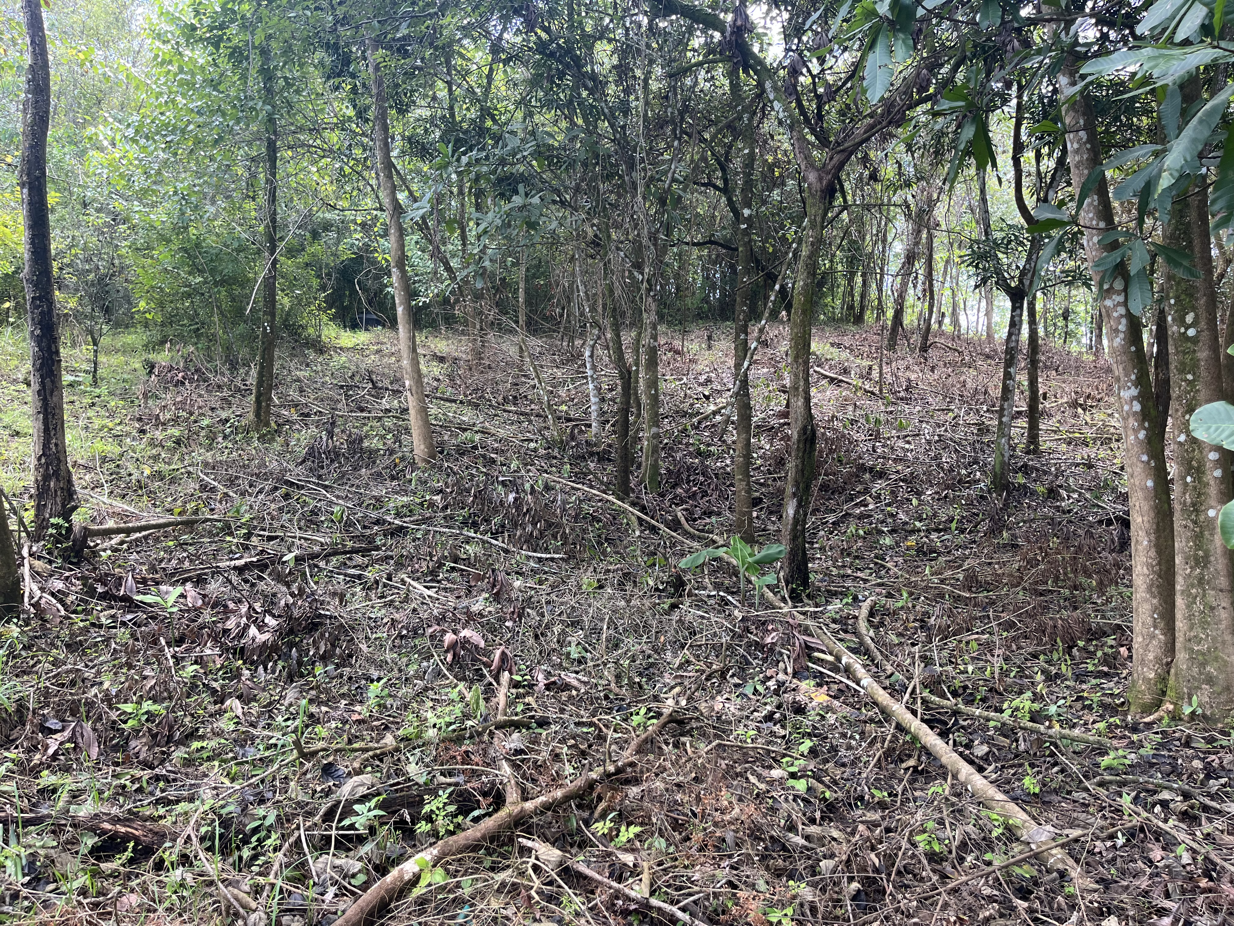 0 bed Land For Sale in Playa Coyote, Guanacaste - thumb 20