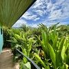  - 2-Bedroom Gem with Stunning Tropical Landscape in Uvita