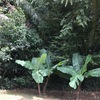  - Mistico Condo for Sale