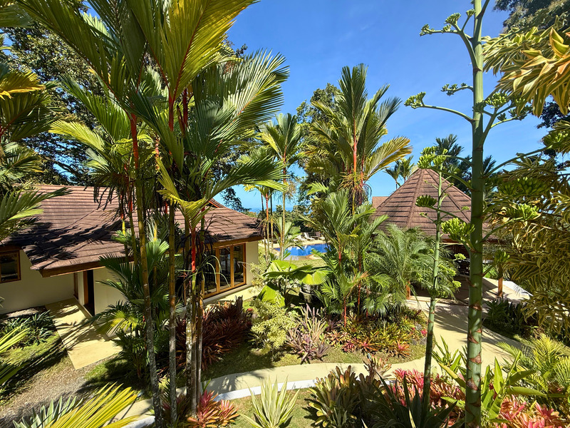 7 bed Single Family Homes For Sale in Cahuita, Limón - hero 13