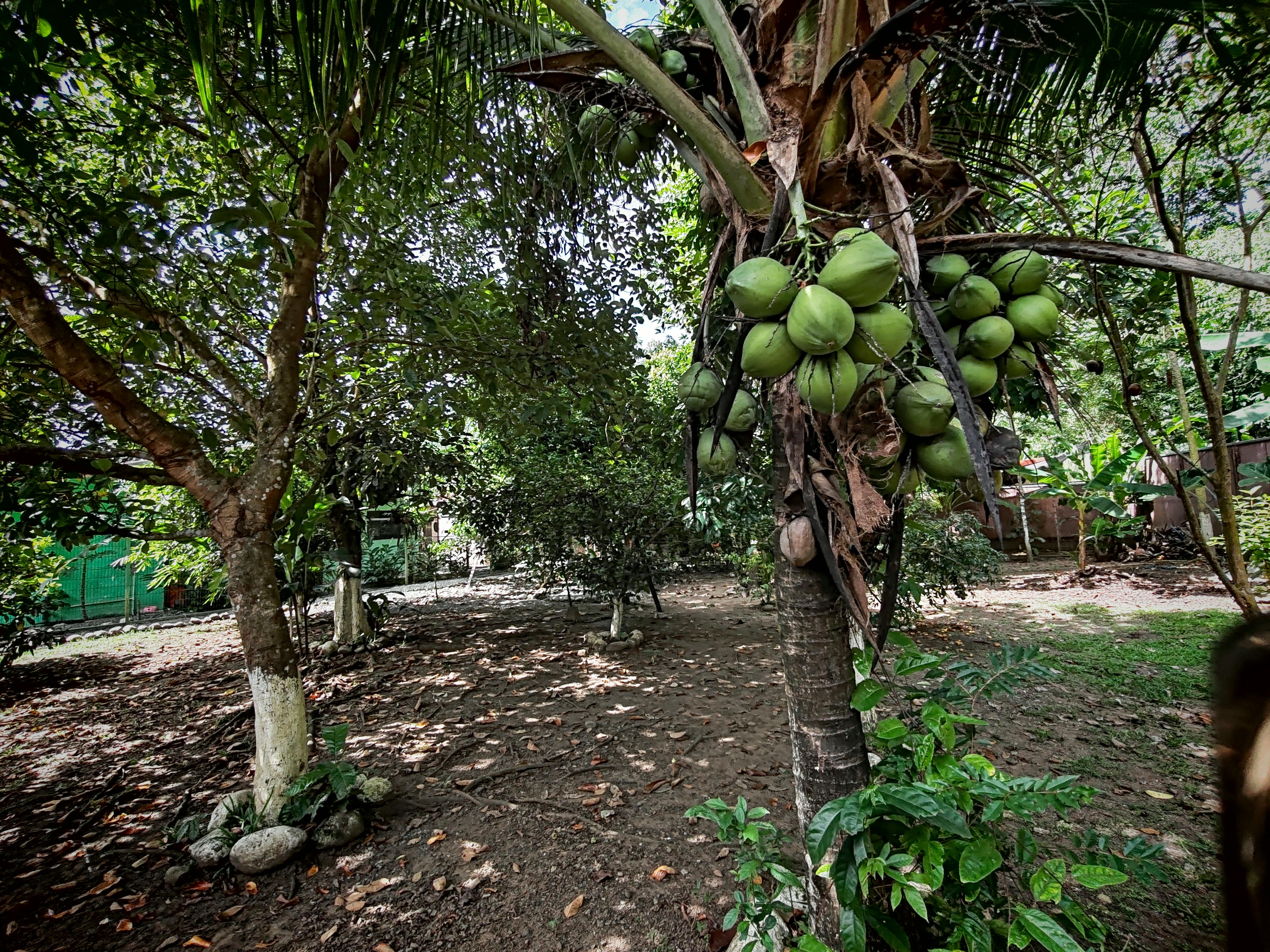 4 bed Single Family Homes For Sale in Puerto Viejo, Limón - thumb 7