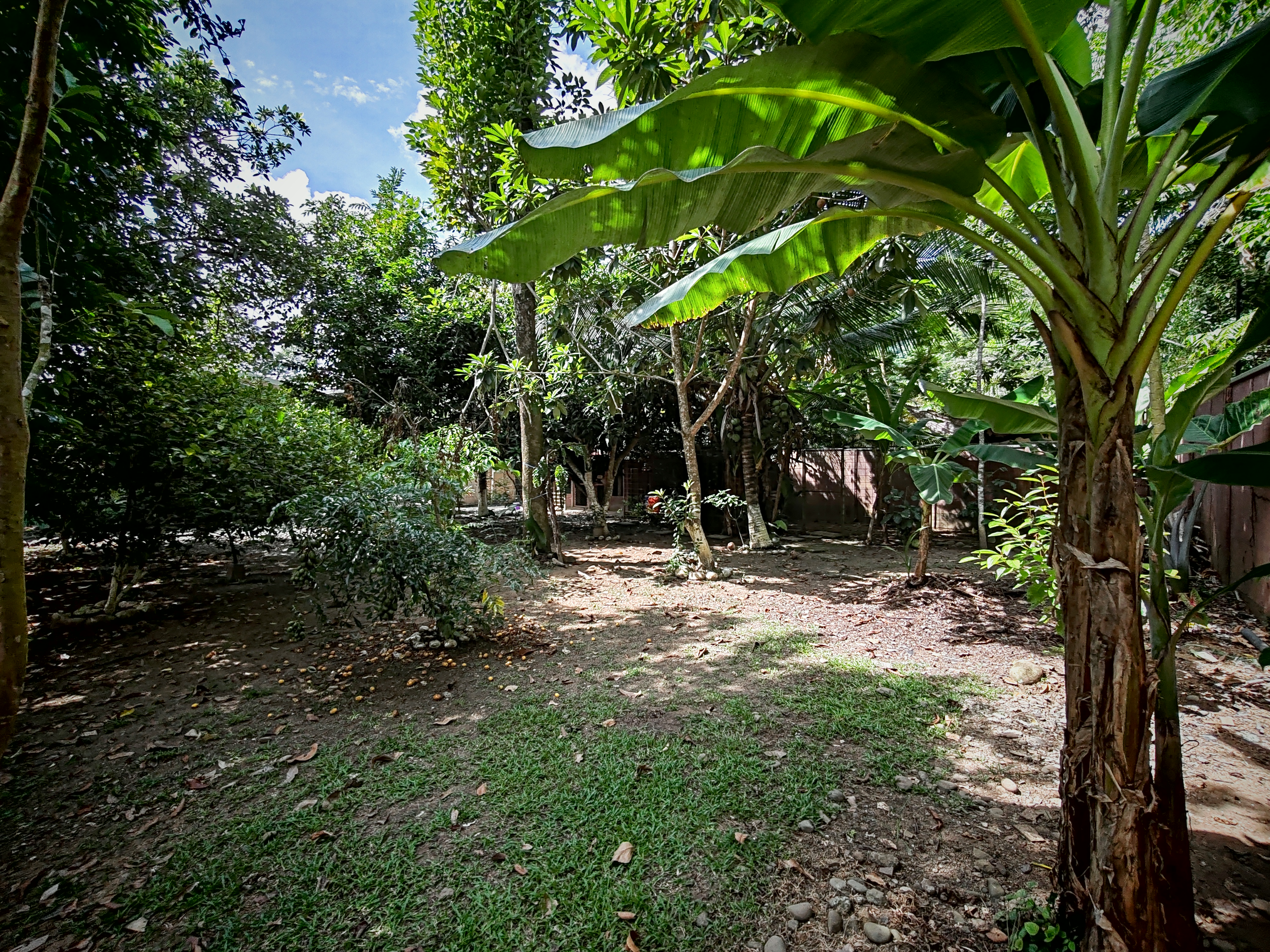 4 bed Single Family Homes For Sale in Puerto Viejo, Limón - thumb 8