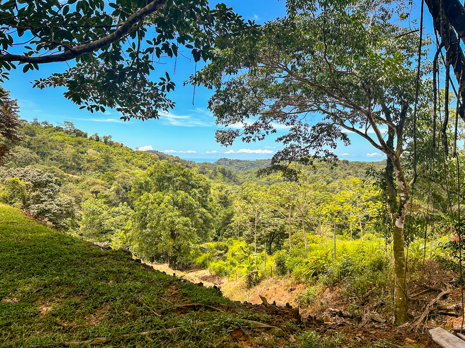 0 bed Land For Sale in Ojochal, Puntarenas - thumb 22