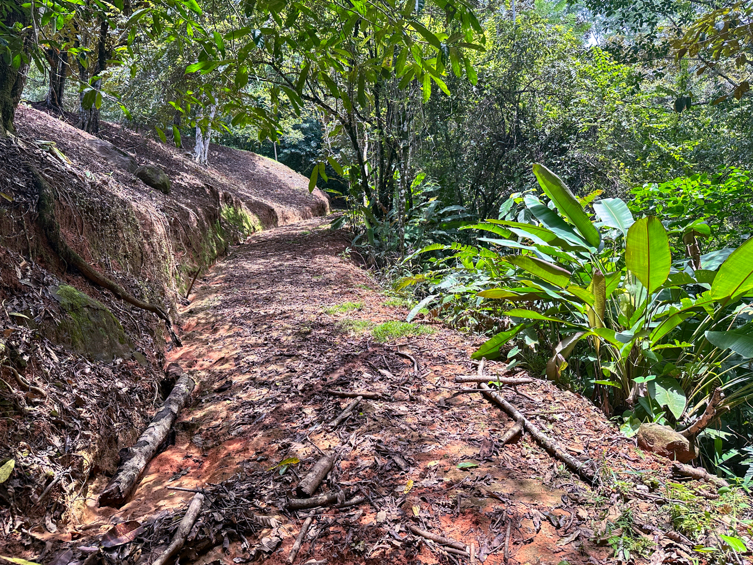 0 bed Land For Sale in Ojochal, Puntarenas - thumb 9