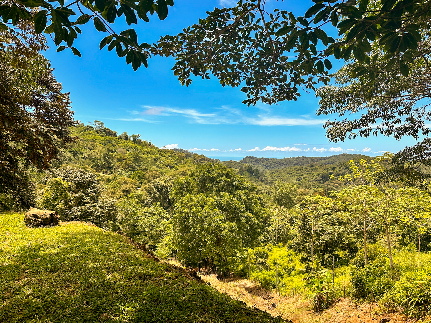 0 bed Land For Sale in Ojochal, Puntarenas - thumb 3