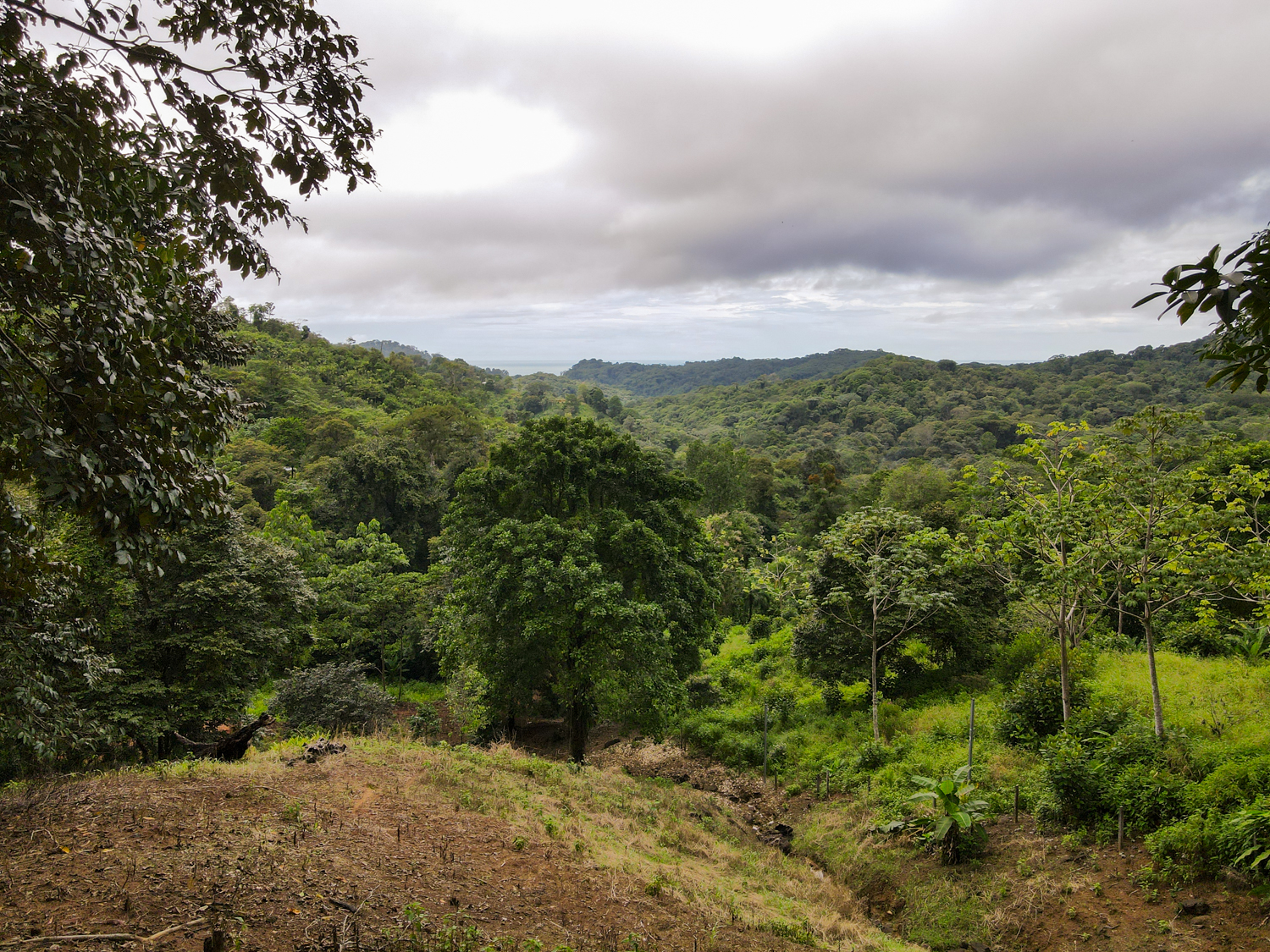 0 bed Land For Sale in Ojochal, Puntarenas - thumb 18