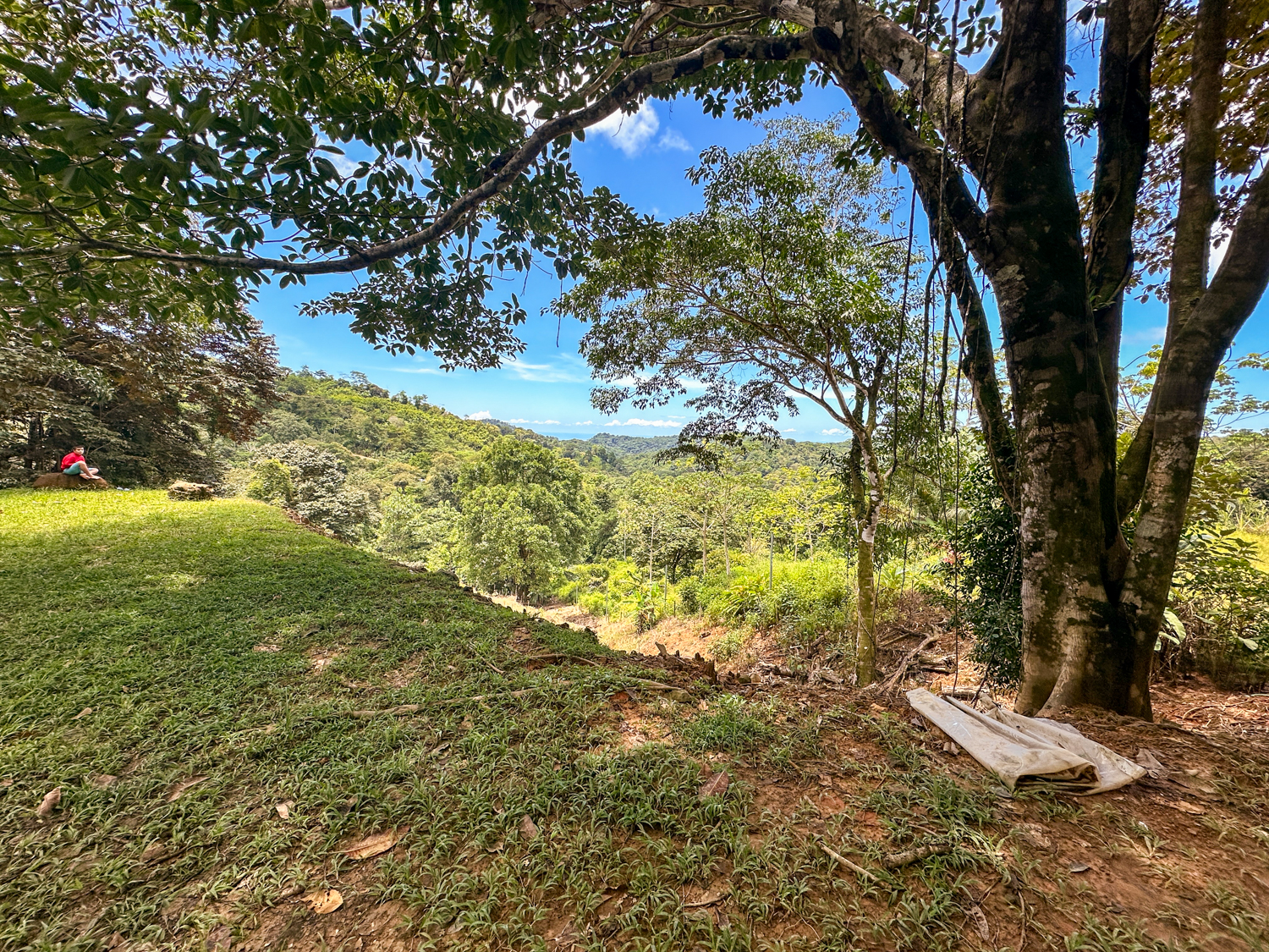 0 bed Land For Sale in Ojochal, Puntarenas - thumb 23