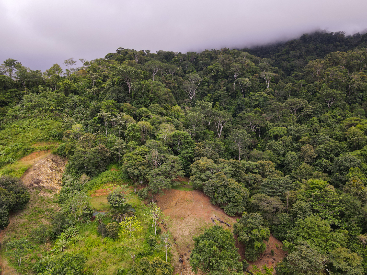 0 bed Land For Sale in Ojochal, Puntarenas - thumb 11