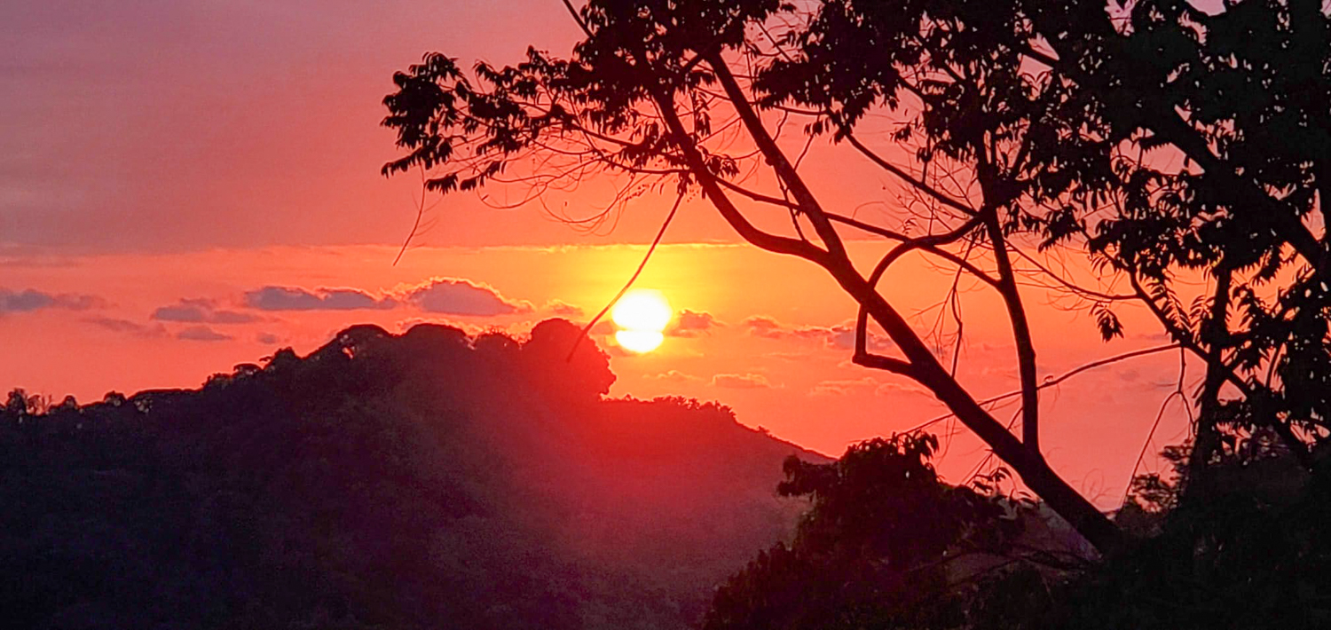 0 bed Land For Sale in Ojochal, Puntarenas - thumb 4