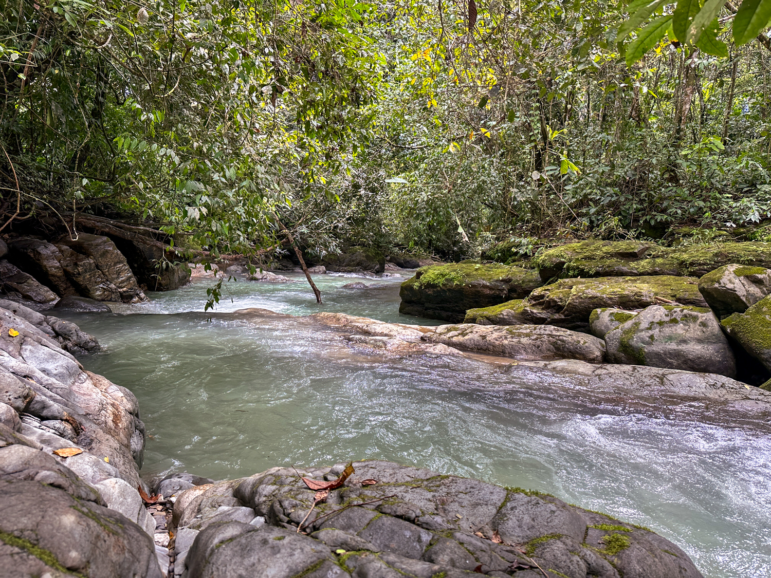 0 bed Land For Sale in Ojochal, Puntarenas - thumb 27