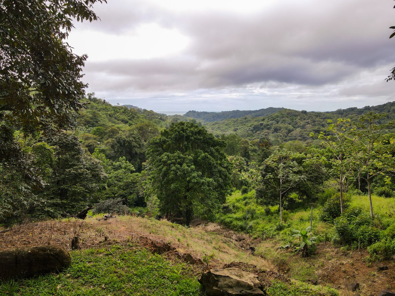 0 bed Land For Sale in Ojochal, Puntarenas - thumb 19