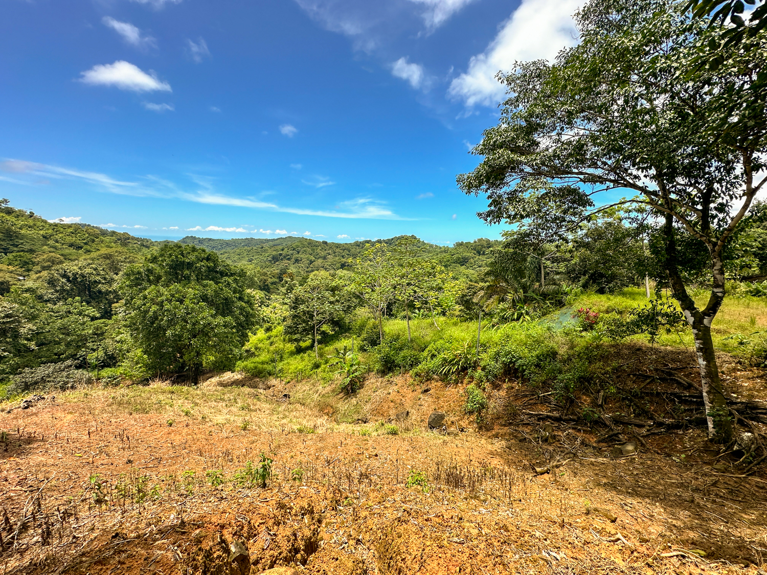 0 bed Land For Sale in Ojochal, Puntarenas - thumb 7