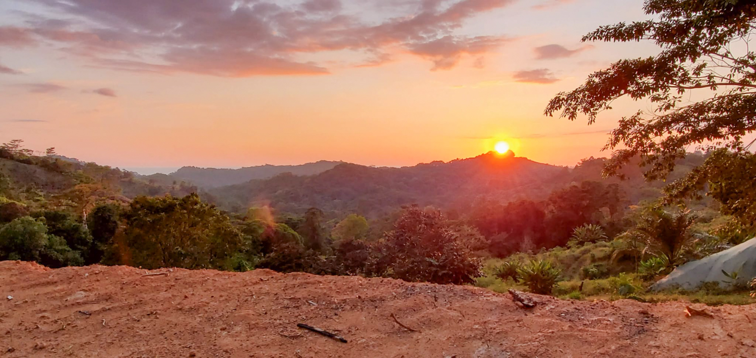 0 bed Land For Sale in Ojochal, Puntarenas - thumb 2