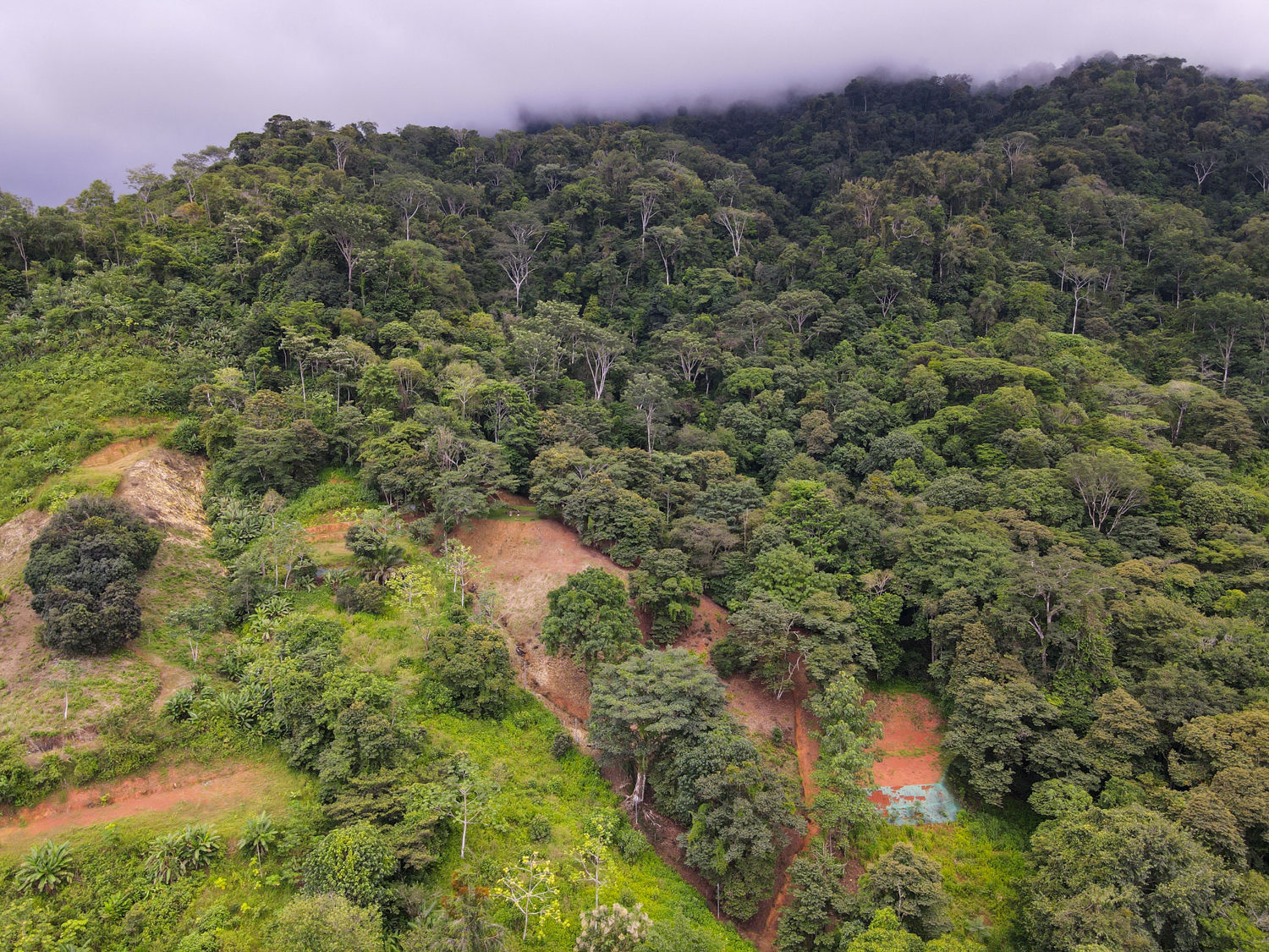 0 bed Land For Sale in Ojochal, Puntarenas - thumb 14